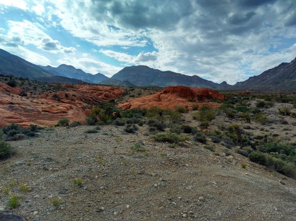 Little Red Rock Trail image